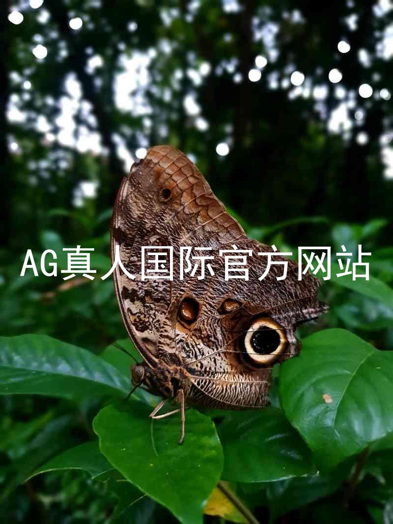 AG真人国际官方网站