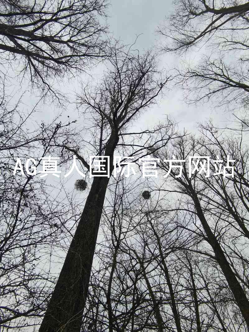 AG真人国际官方网站