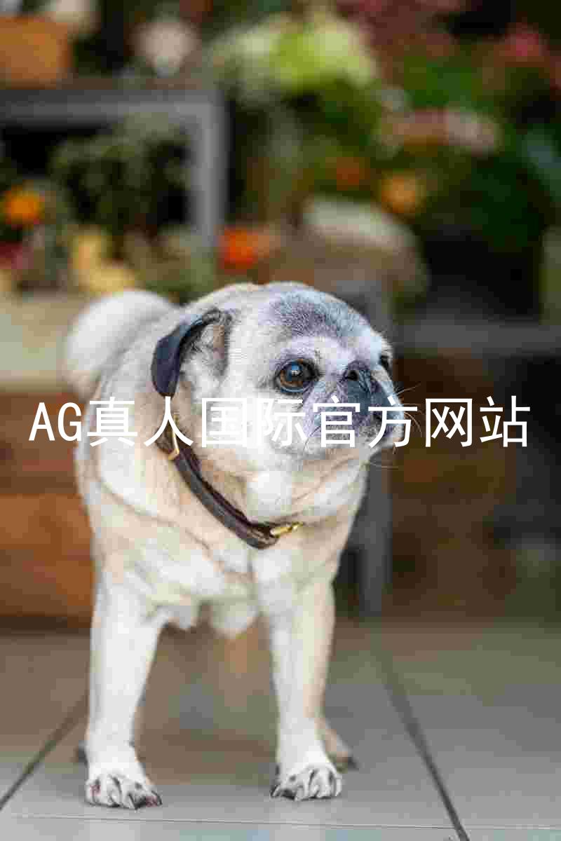 AG真人国际官方网站